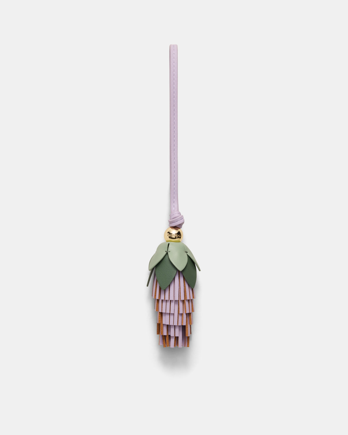 Banksia Charm